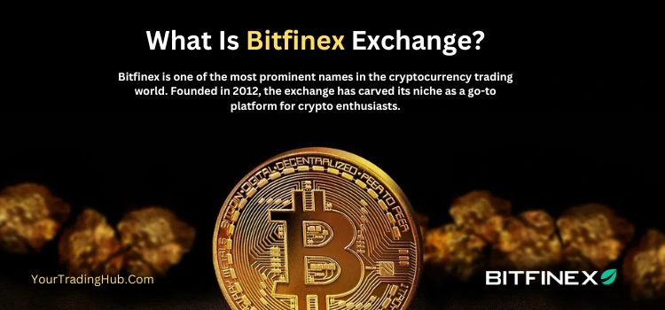 Bitfinex Exchange