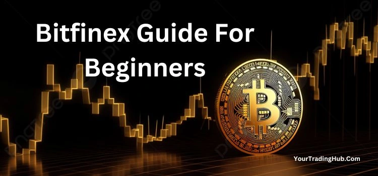 Bitfinex Guide For Beginners